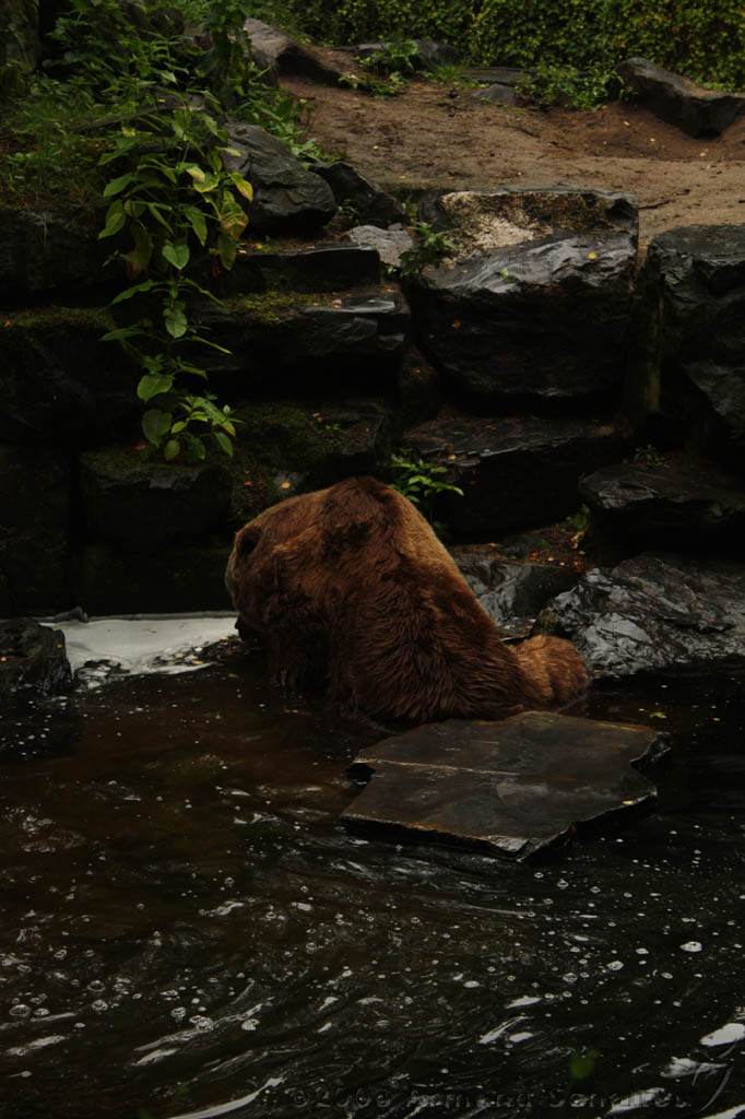 noorderdierenpark_059.jpg