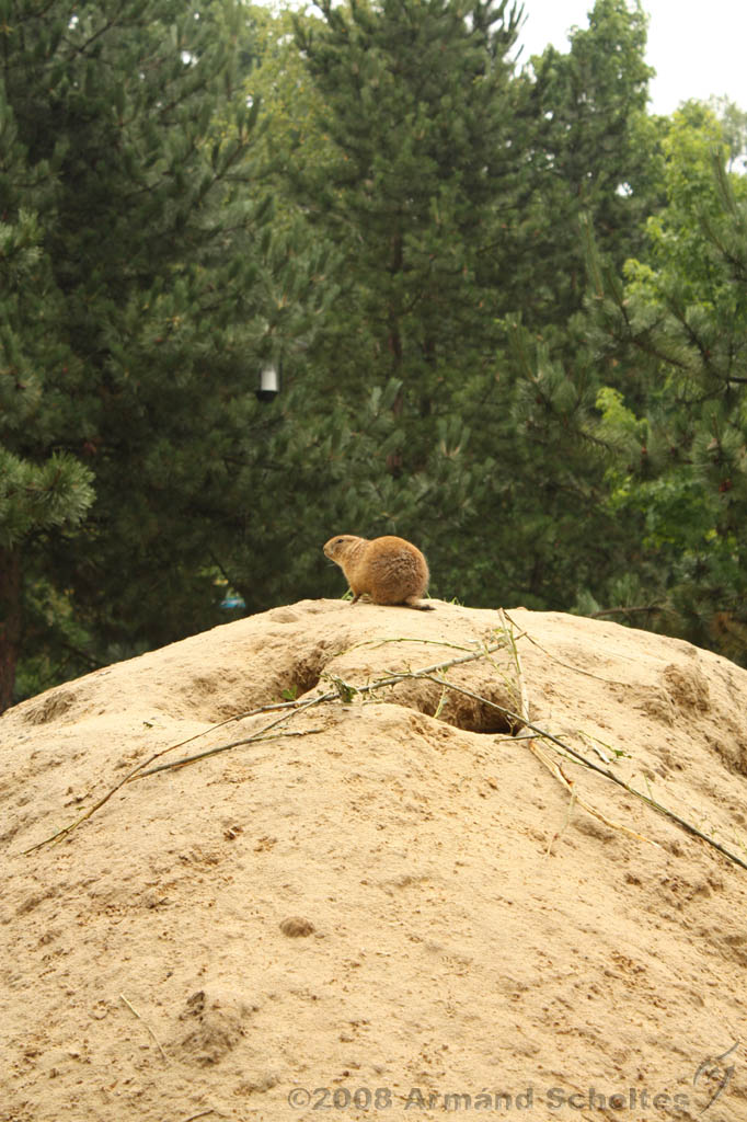 noorderdierenpark_062.jpg