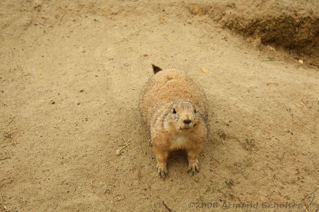 noorderdierenpark_067.jpg