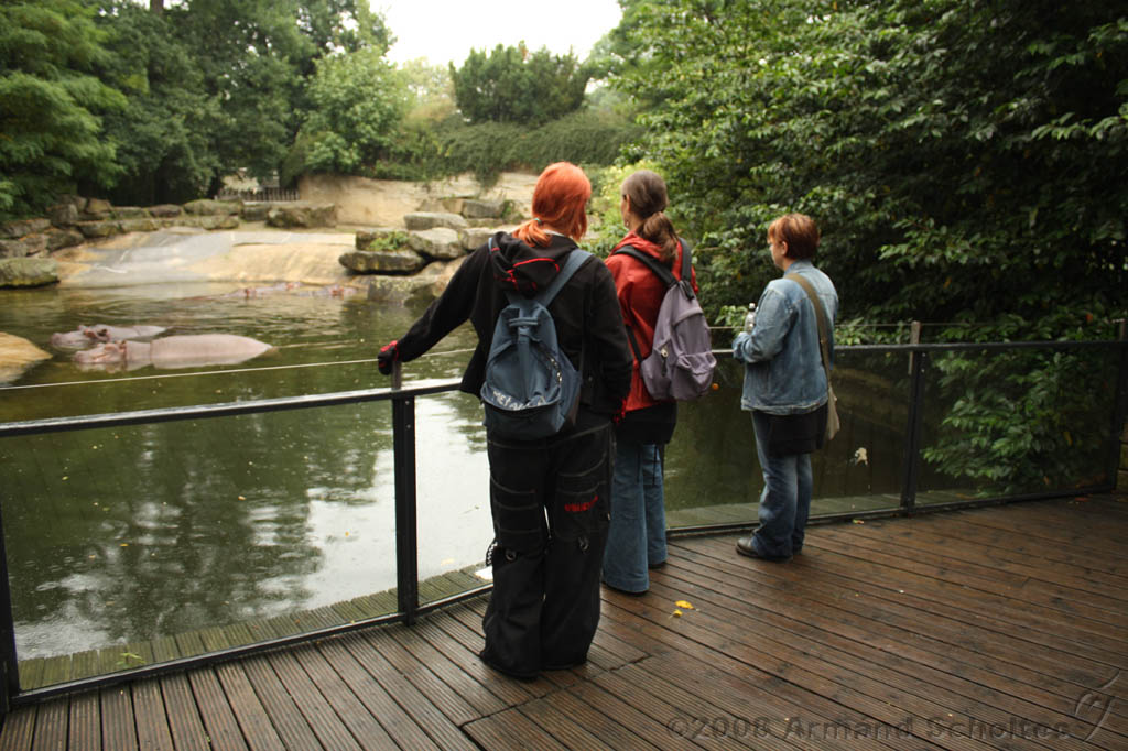 noorderdierenpark_070.jpg