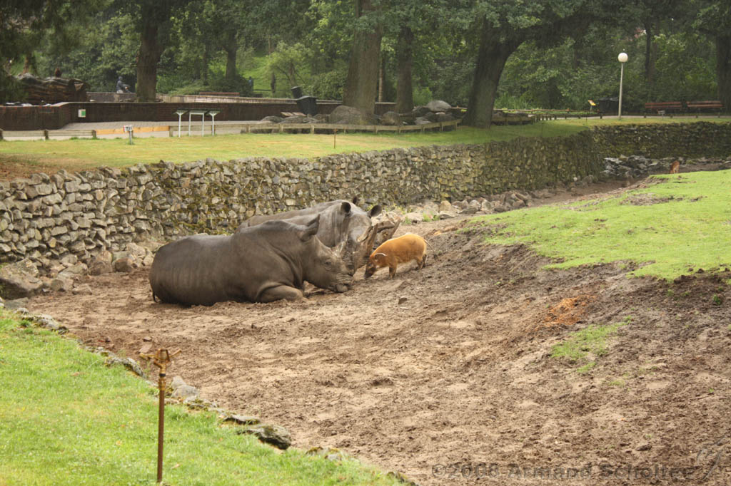 noorderdierenpark_074.jpg
