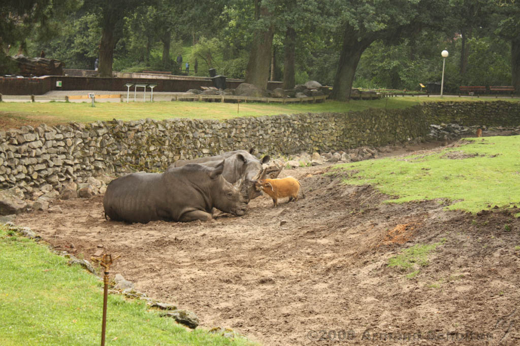 noorderdierenpark_075.jpg