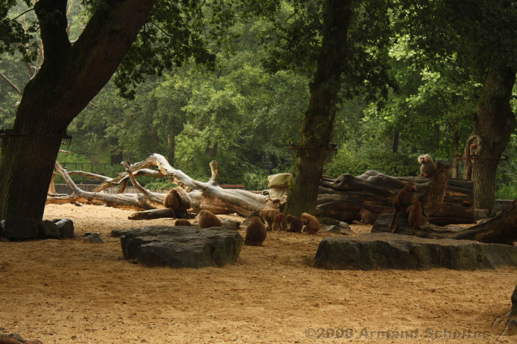 noorderdierenpark_078.jpg