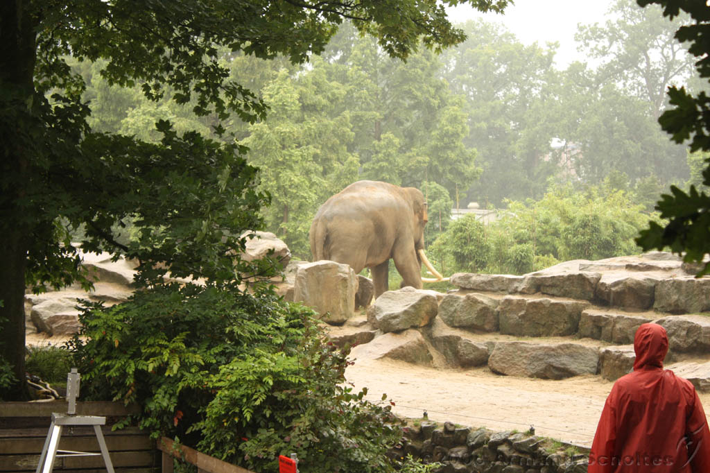 noorderdierenpark_079.jpg