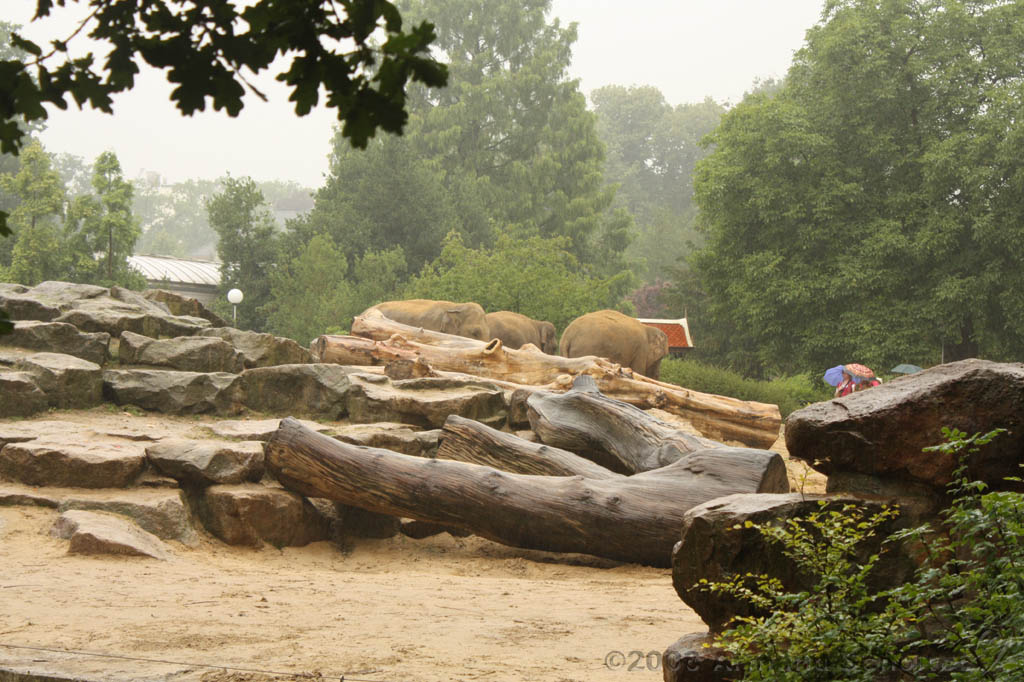 noorderdierenpark_080.jpg