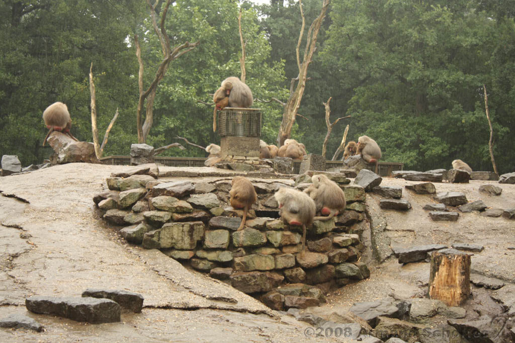 noorderdierenpark_081.jpg