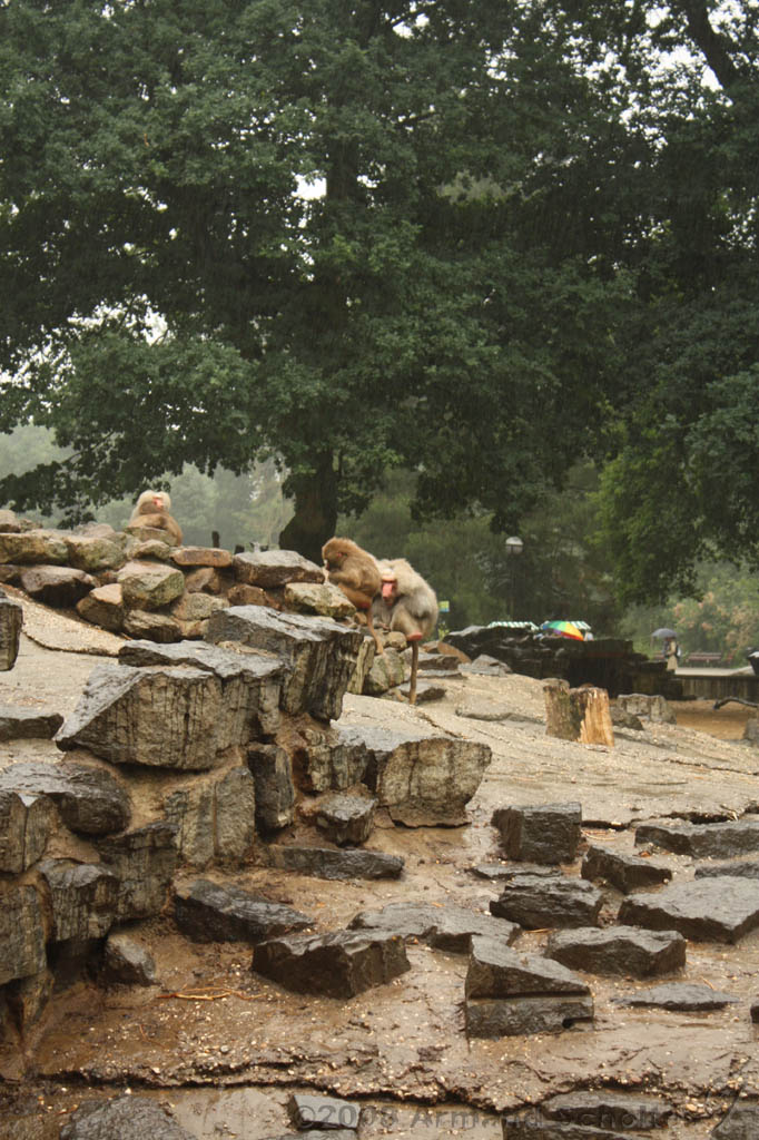 noorderdierenpark_082.jpg
