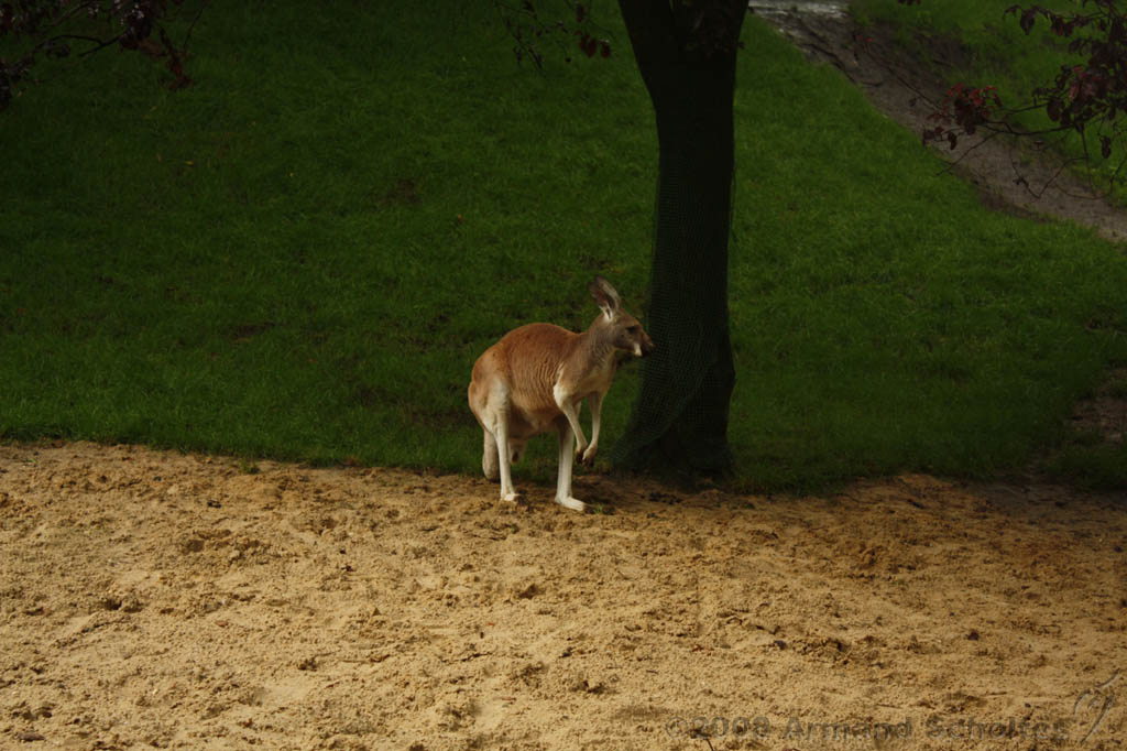 noorderdierenpark_083.jpg