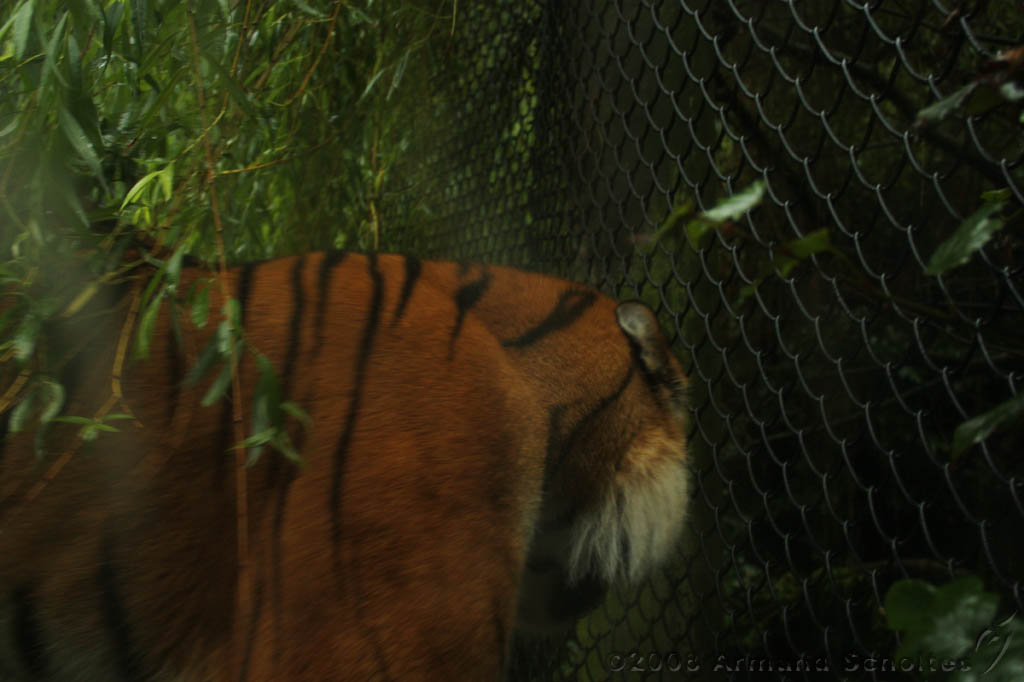 noorderdierenpark_087.jpg