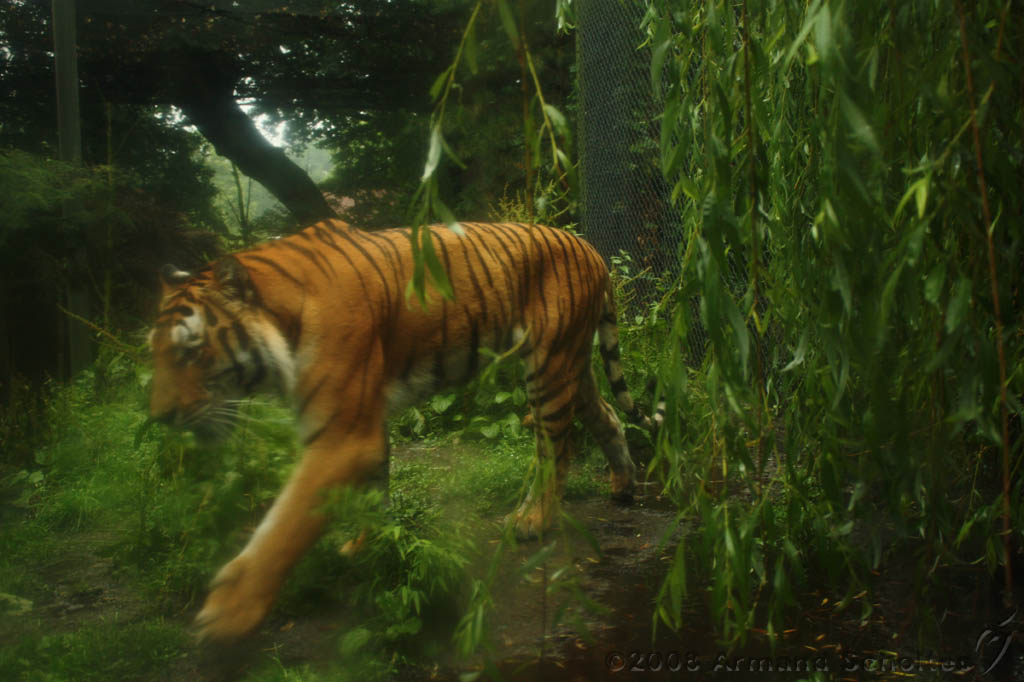 noorderdierenpark_088.jpg