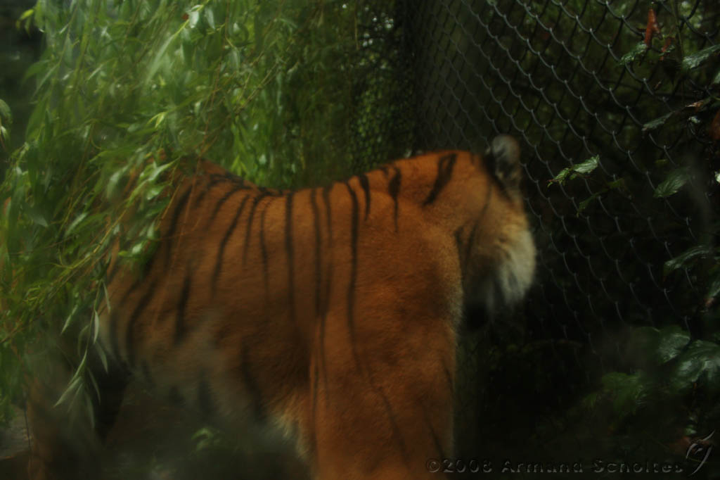noorderdierenpark_090.jpg
