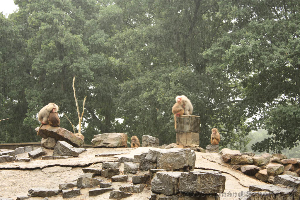 noorderdierenpark_093.jpg