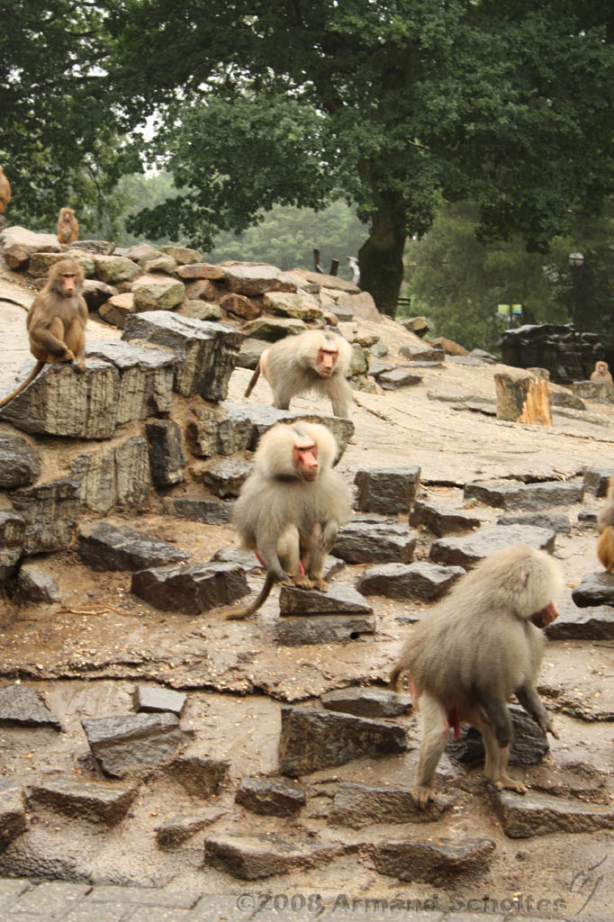 noorderdierenpark_096.jpg