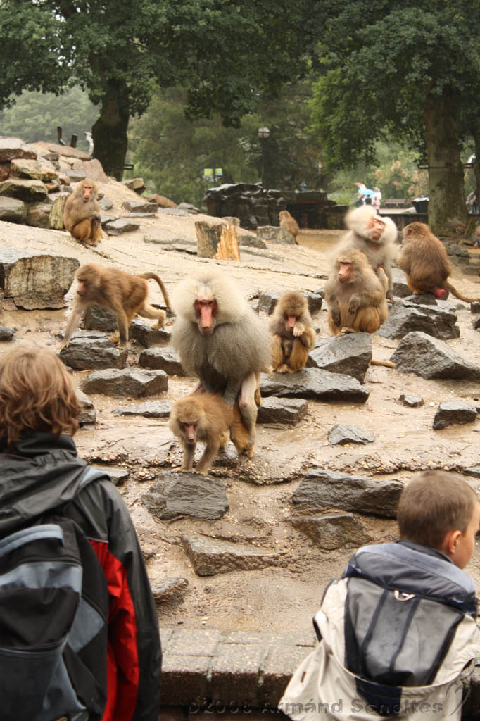 noorderdierenpark_097.jpg