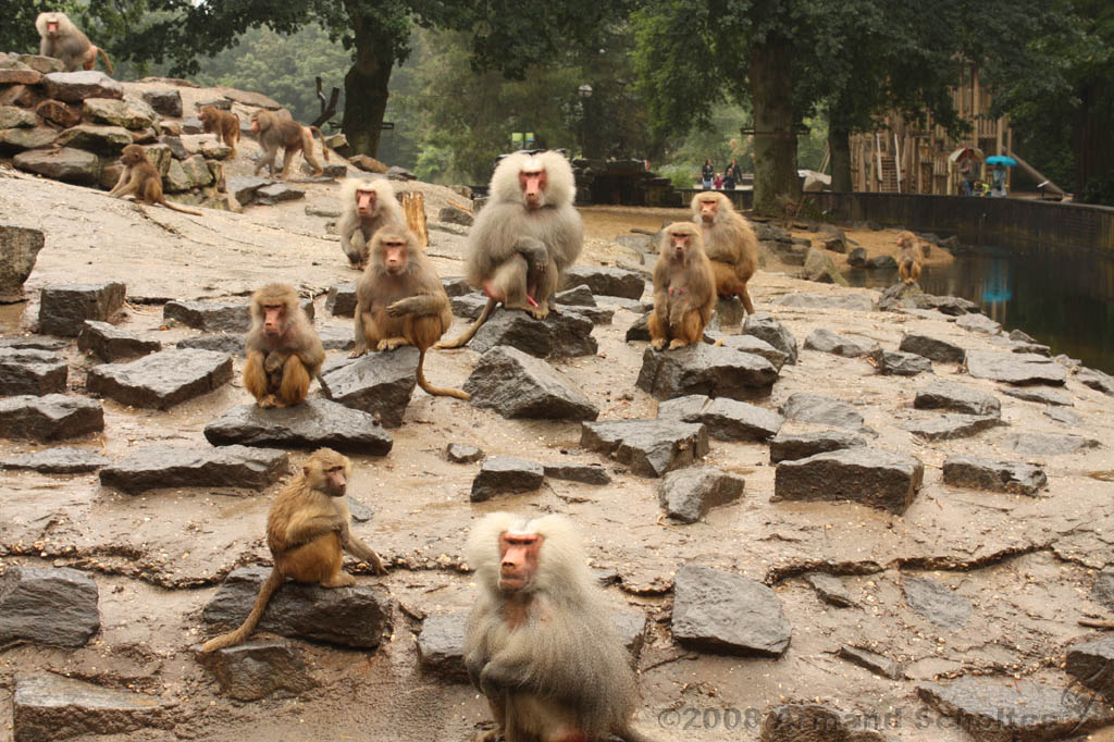 noorderdierenpark_098.jpg