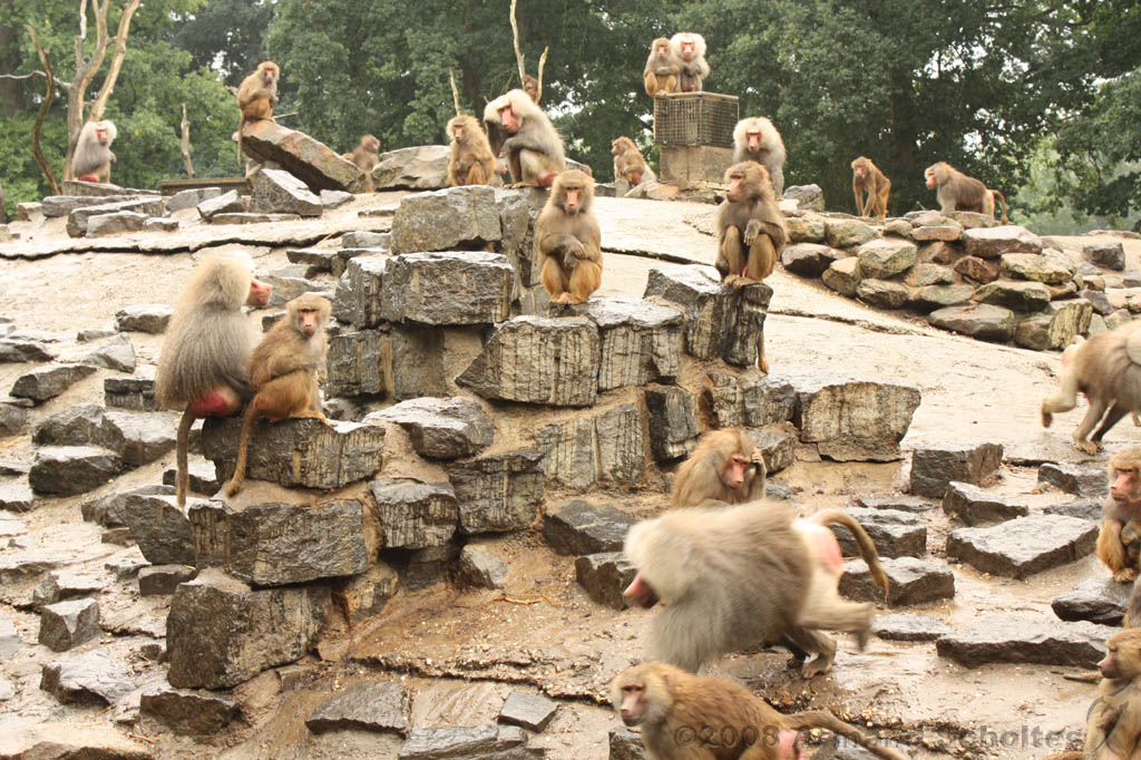 noorderdierenpark_099.jpg