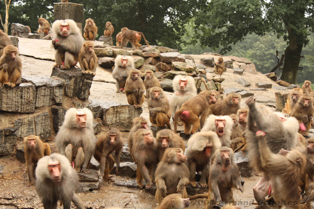 noorderdierenpark_103.jpg