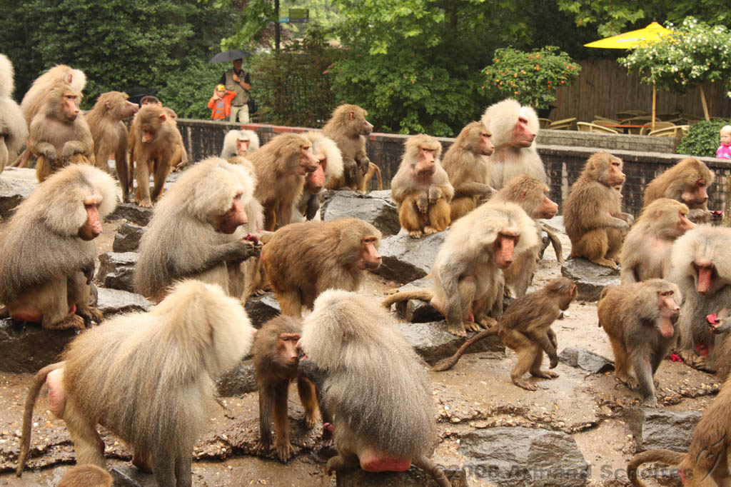 noorderdierenpark_104.jpg
