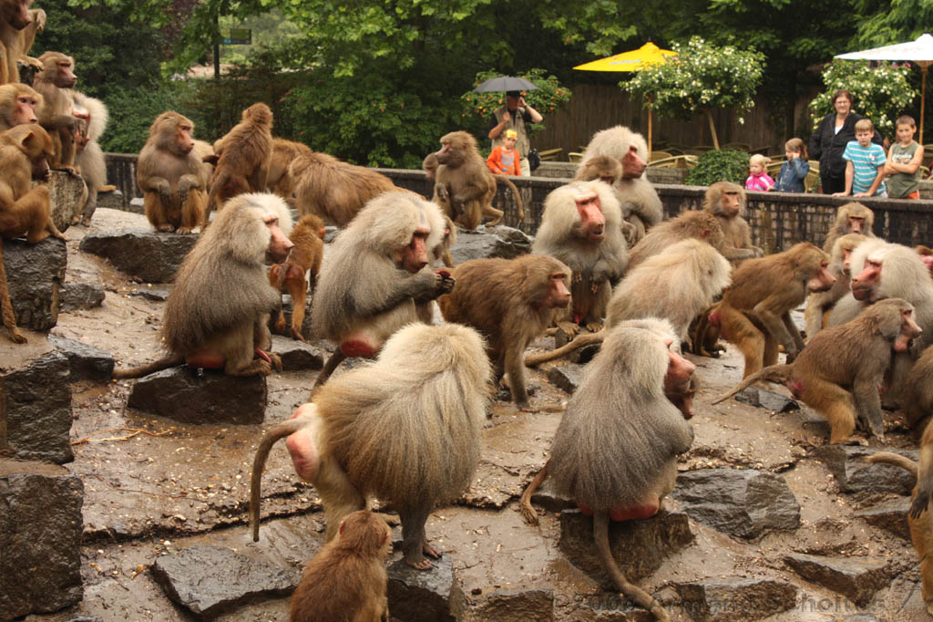 noorderdierenpark_105.jpg
