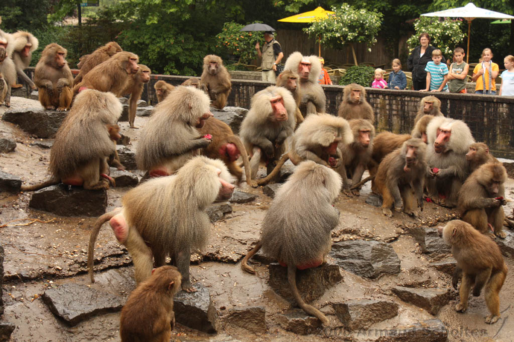noorderdierenpark_106.jpg