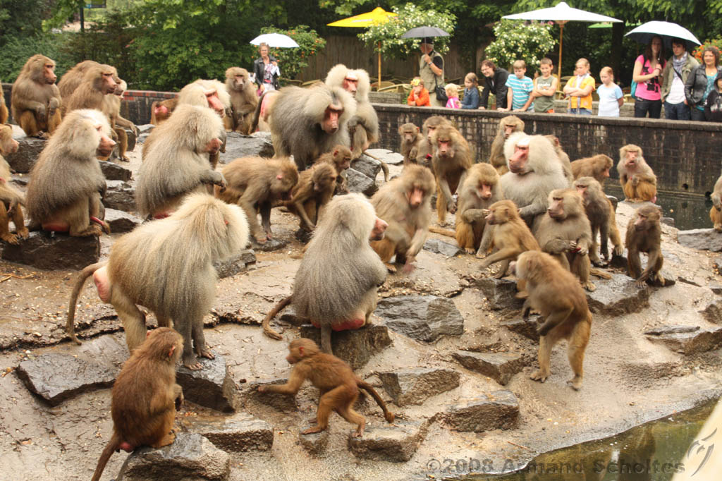 noorderdierenpark_107.jpg