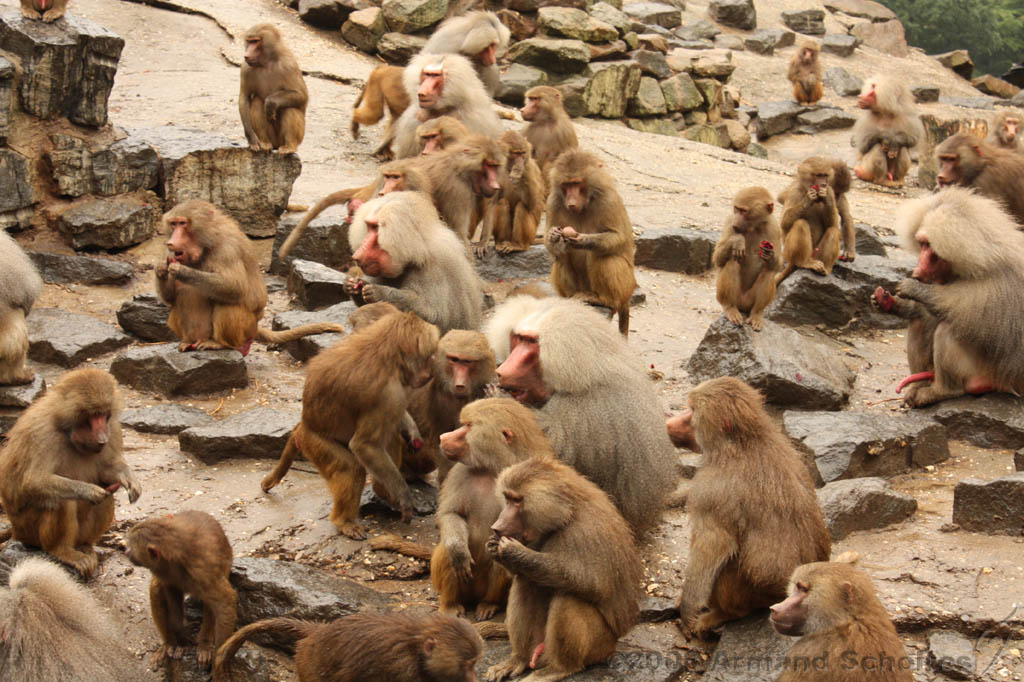 noorderdierenpark_109.jpg