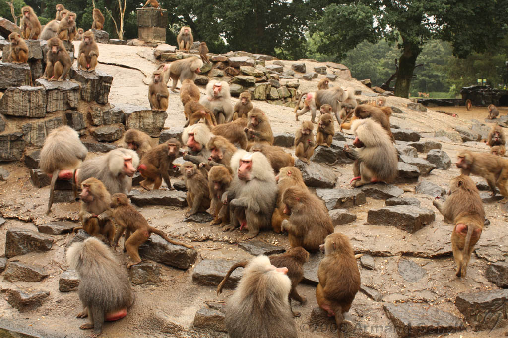 noorderdierenpark_110.jpg