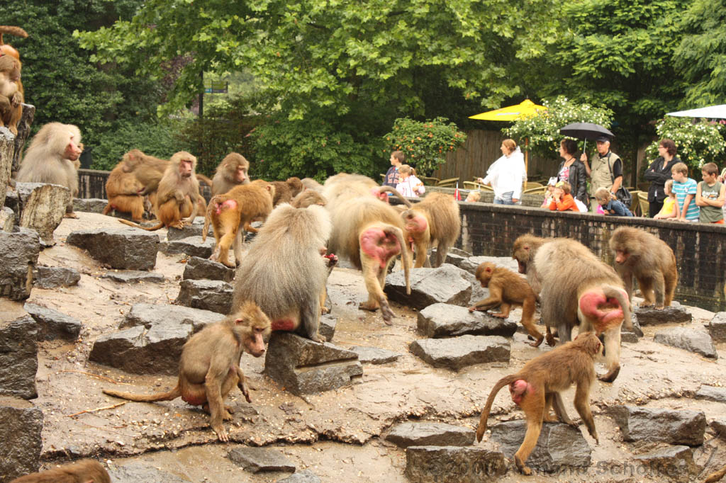 noorderdierenpark_112.jpg
