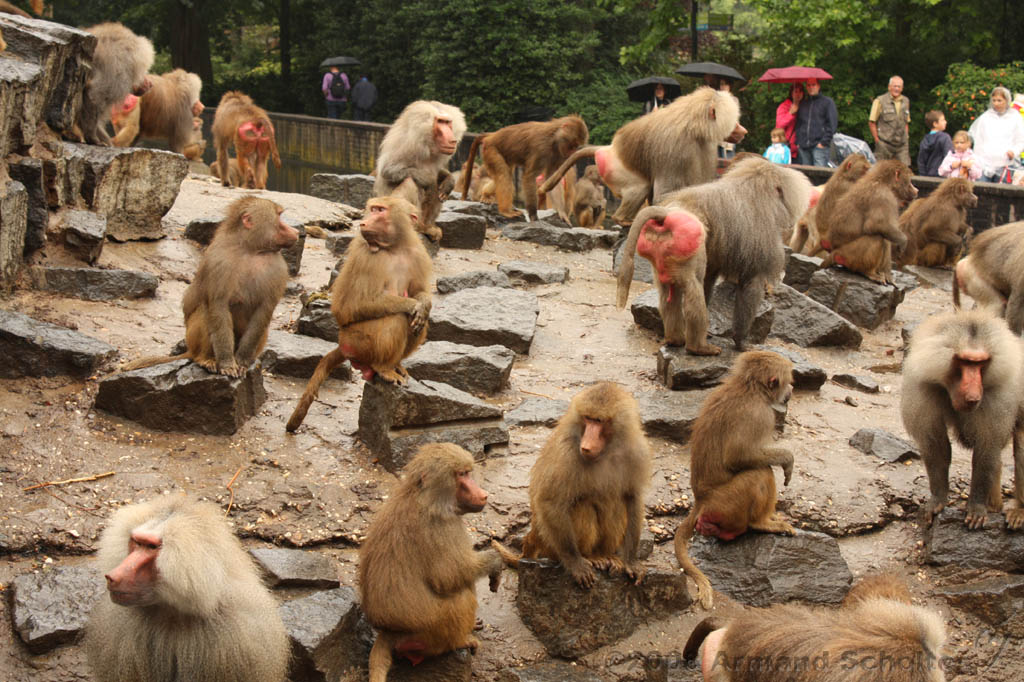 noorderdierenpark_113.jpg