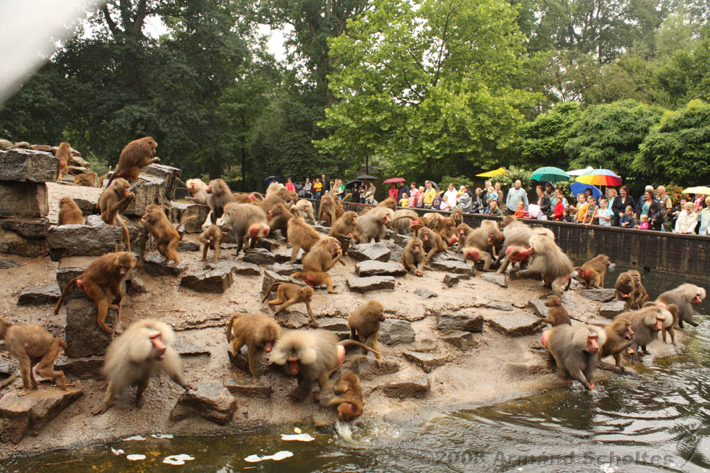 noorderdierenpark_115.jpg