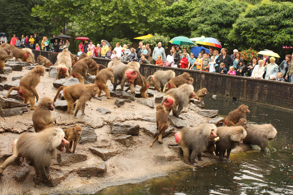 noorderdierenpark_117.jpg
