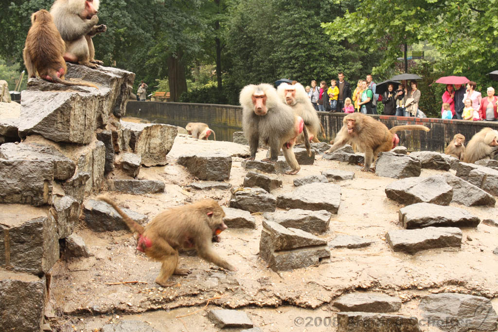 noorderdierenpark_120.jpg