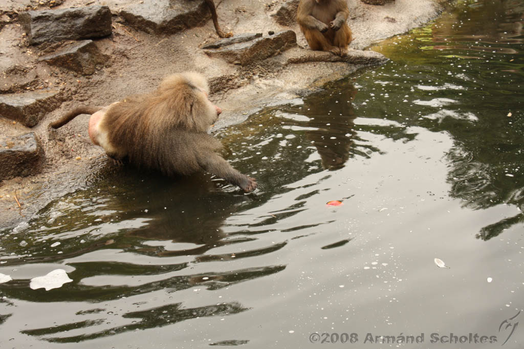 noorderdierenpark_121.jpg