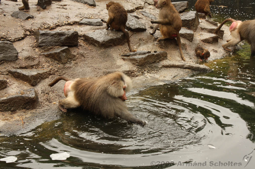 noorderdierenpark_124.jpg