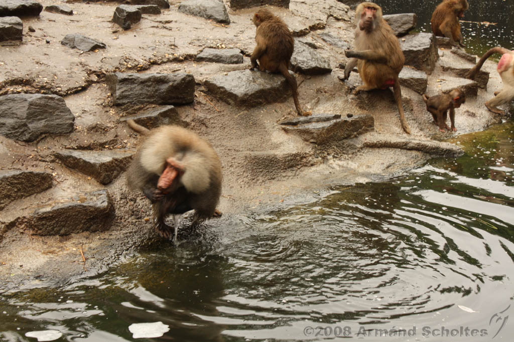 noorderdierenpark_125.jpg