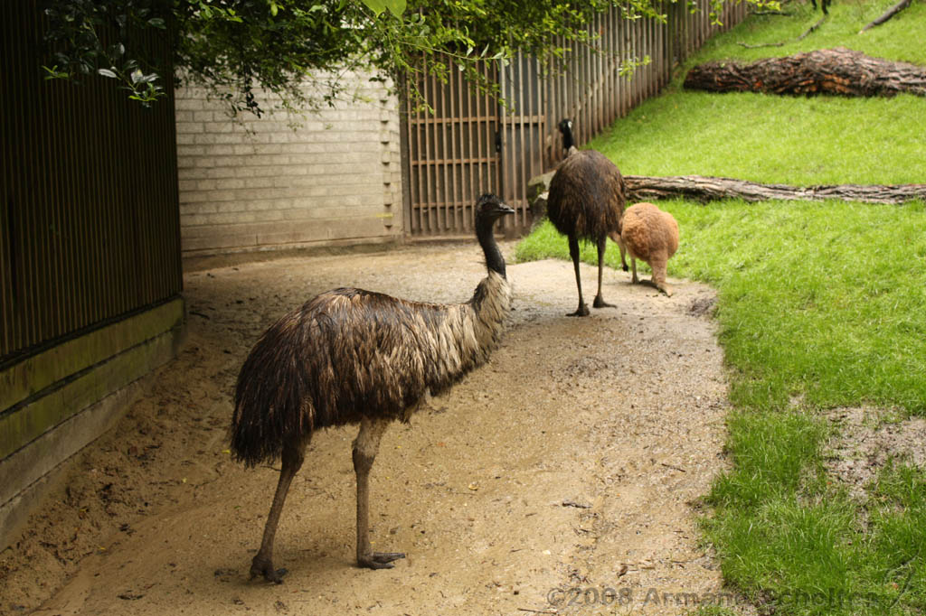 noorderdierenpark_127.jpg