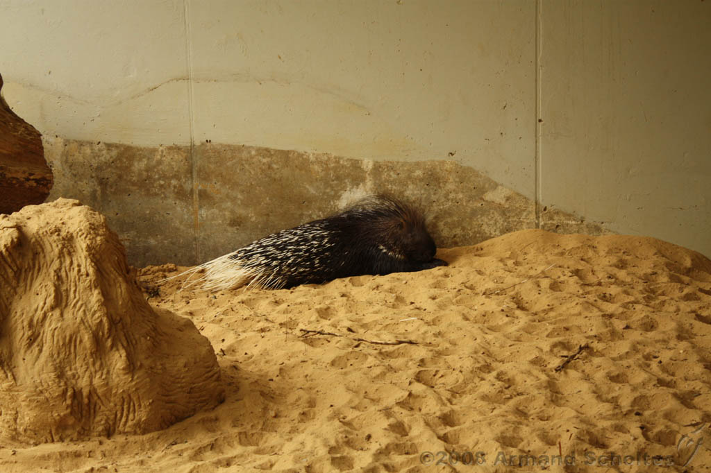 noorderdierenpark_129.jpg