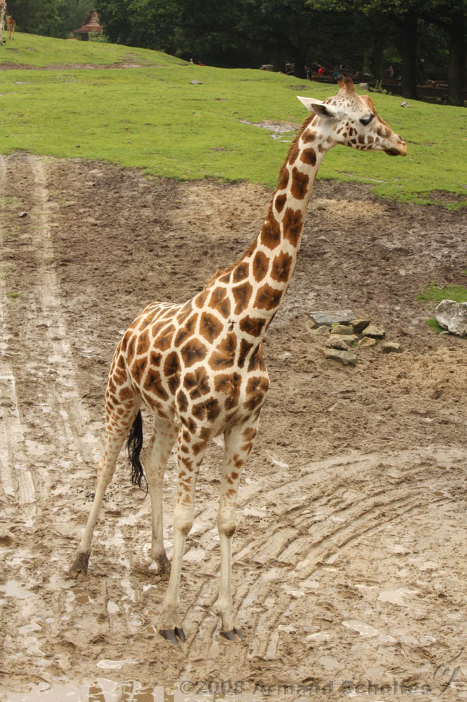 noorderdierenpark_136.jpg