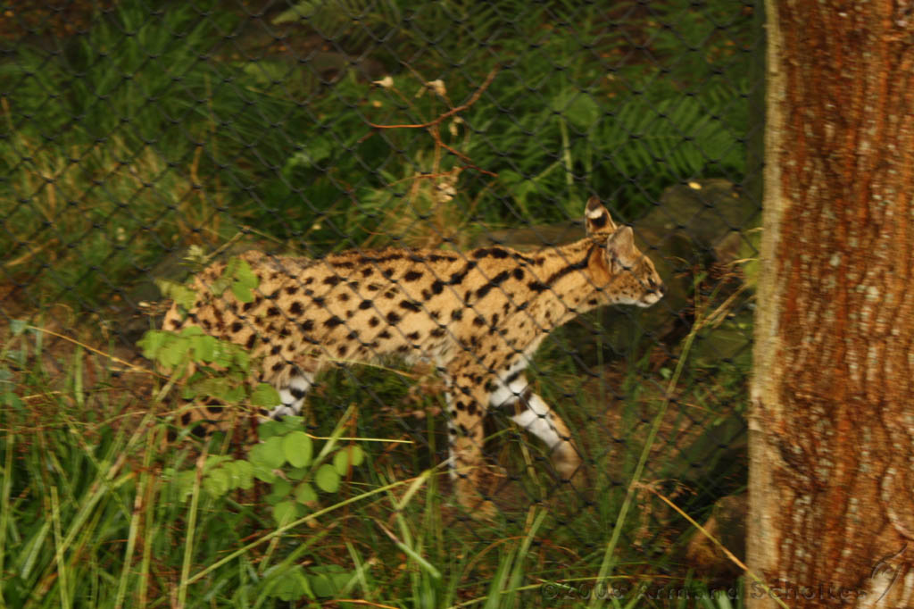 noorderdierenpark_138.jpg
