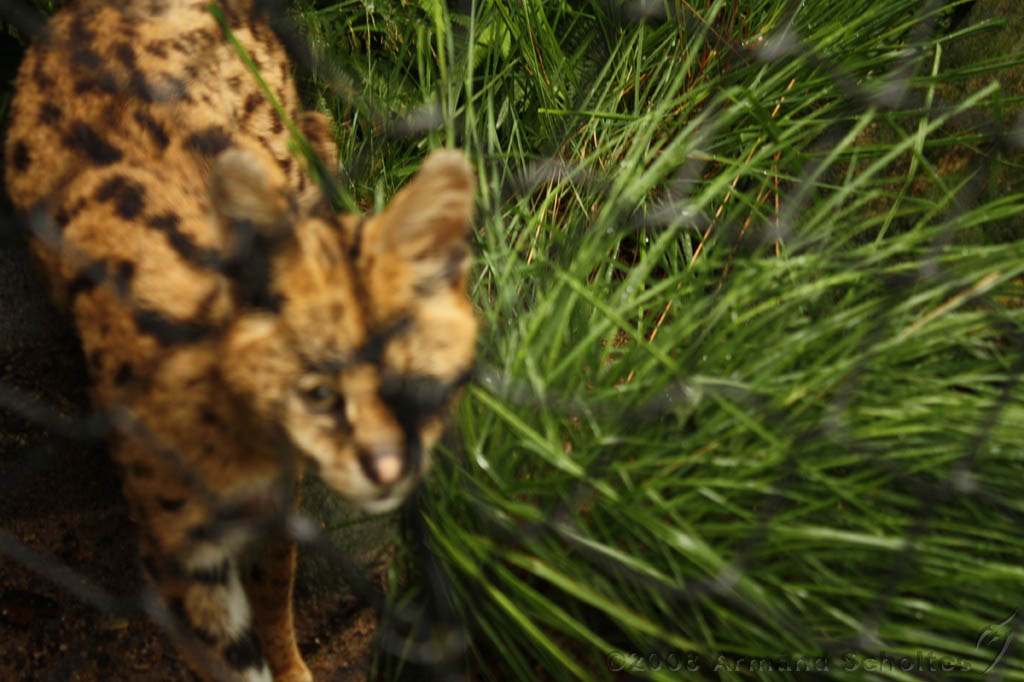 noorderdierenpark_140.jpg