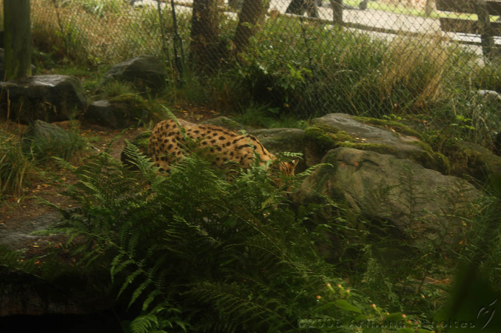 noorderdierenpark_141.jpg