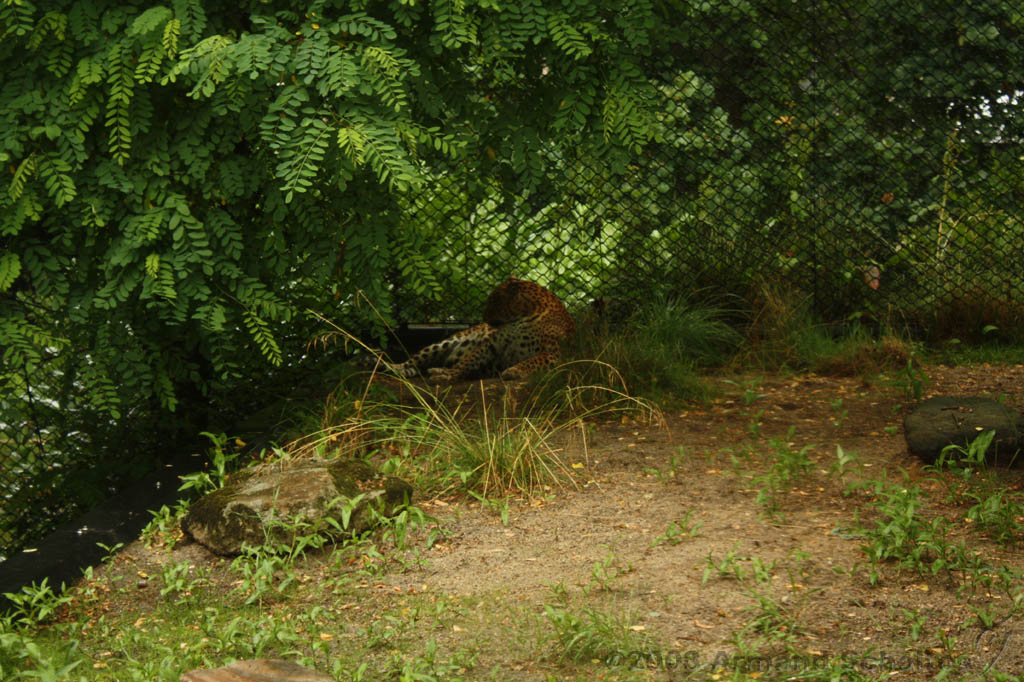 noorderdierenpark_142.jpg