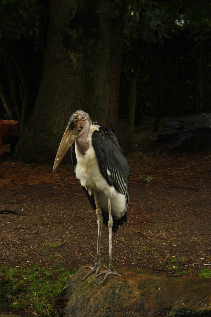 noorderdierenpark_145.jpg