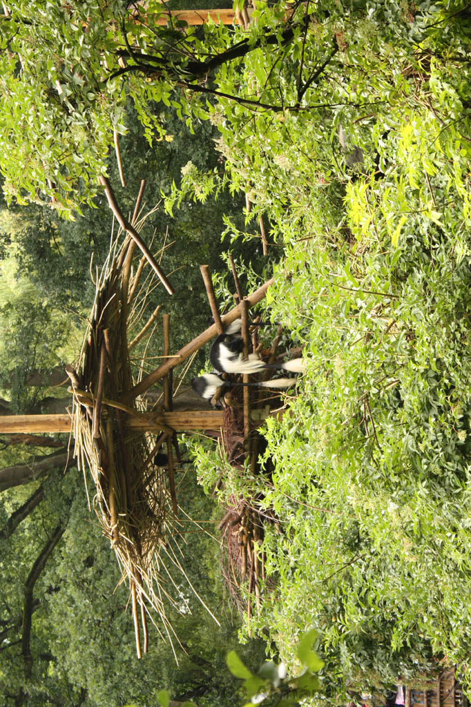 noorderdierenpark_148.jpg