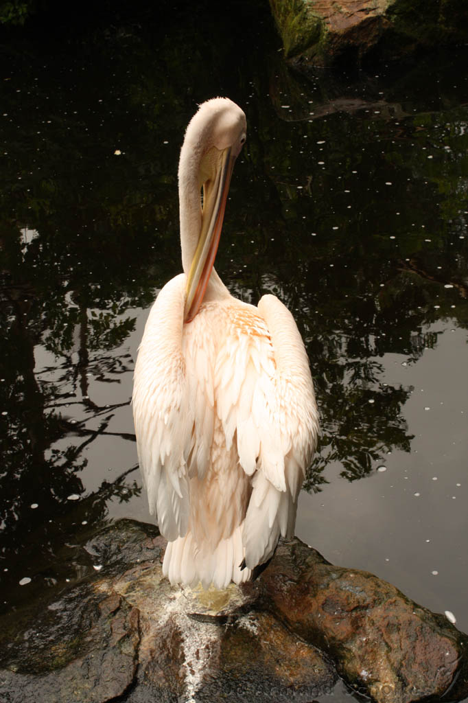 noorderdierenpark_149.jpg