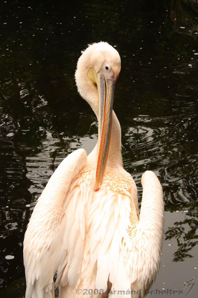 noorderdierenpark_151.jpg