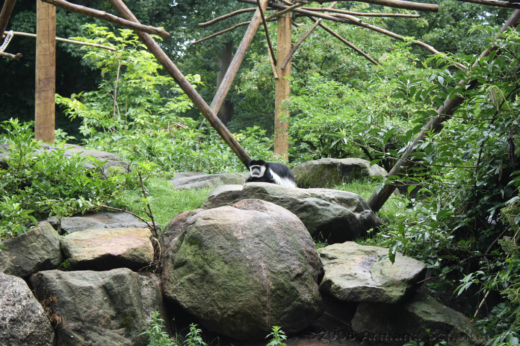 noorderdierenpark_153.jpg