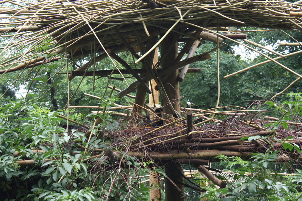 noorderdierenpark_154.jpg