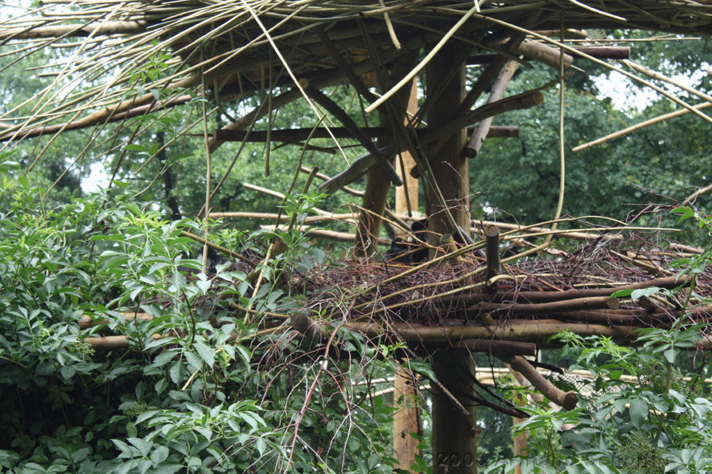 noorderdierenpark_155.jpg