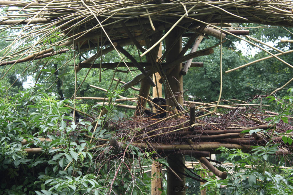 noorderdierenpark_156.jpg